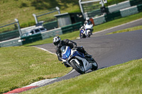 cadwell-no-limits-trackday;cadwell-park;cadwell-park-photographs;cadwell-trackday-photographs;enduro-digital-images;event-digital-images;eventdigitalimages;no-limits-trackdays;peter-wileman-photography;racing-digital-images;trackday-digital-images;trackday-photos